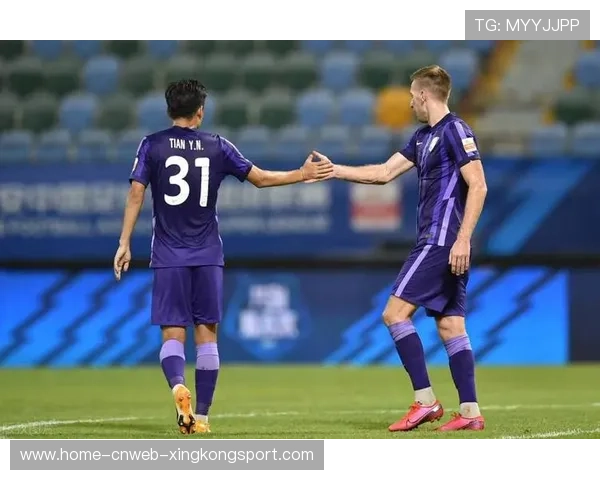 天津津门虎反击线路清晰如蓝图